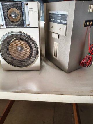 Altavoces Aiwa SC-W10 Plata  con Subwoofer Pioneer