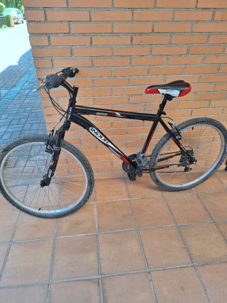 Bicicleta MTB INDUR 26