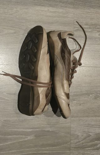 Scarpe Blackfiel Beige/Marrone