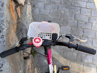 Bicicleta infantil Conor 16 rosa