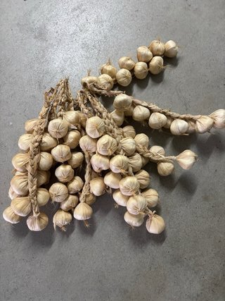 30 Manojos de Ajo Morado Seco