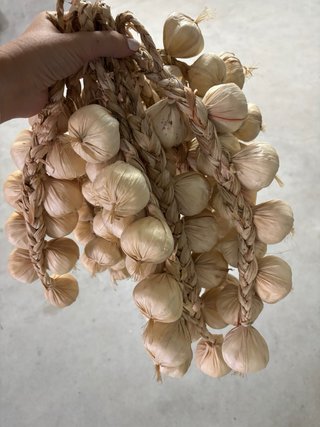 30 Manojos de Ajo Morado Seco