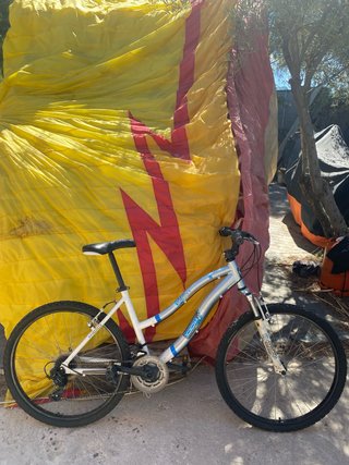 Bicicleta de Montaña Plateada