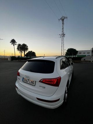 Audi Q5 2010