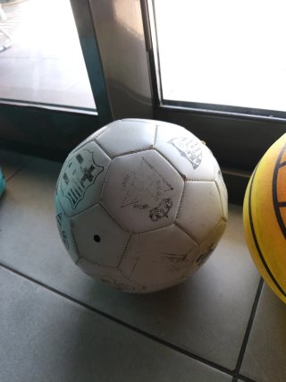 Pelota de todo tipo