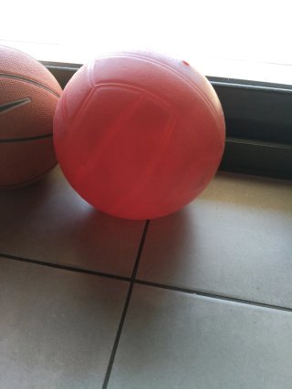Pelota de todo tipo