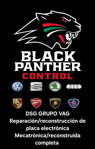 Reparación Electrónica Caja Automática DSG