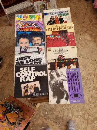 Lote de discos de vinilo antiguos