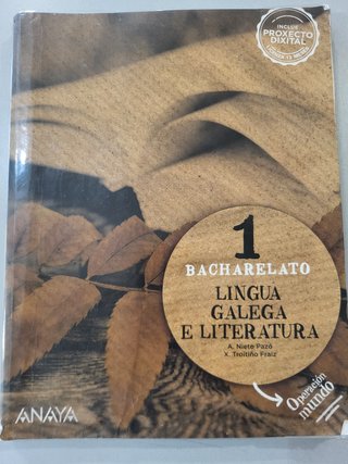 Lingua Galega e Literatura 1BAC