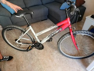 Bicicleta TOPBIKE 60