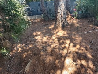 Limpieza jardin