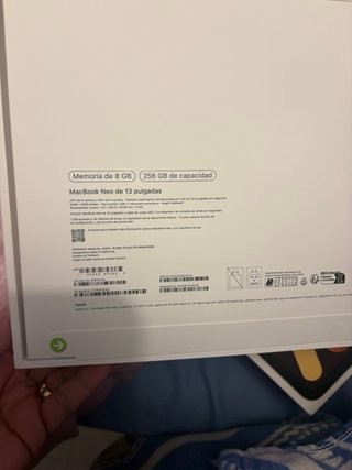 iPad mini rosa