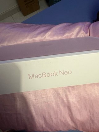 iPad mini rosa
