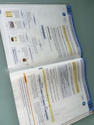 FÍSICA Y QUÍMICA 1°ESO.