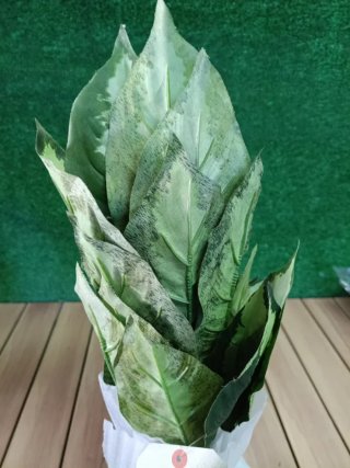 Planta artificial galatea 49 cm altura, Catral