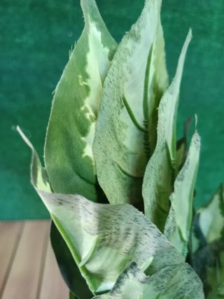 Planta artificial galatea 49 cm altura, Catral