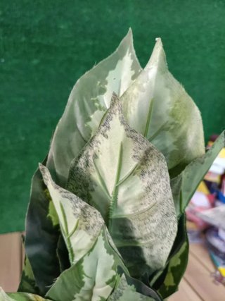 Planta artificial galatea 49 cm altura, Catral
