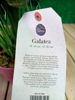 Planta artificial galatea 49 cm altura, Catral