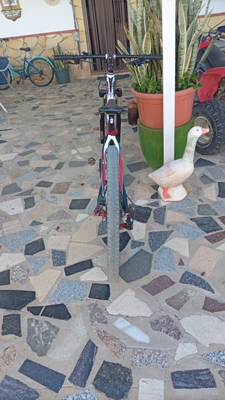 Bicicleta Montaña 29 42 INOXXS