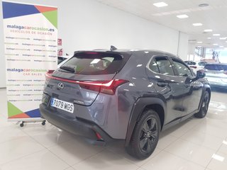 Lexus UX 2.0 250h Business City