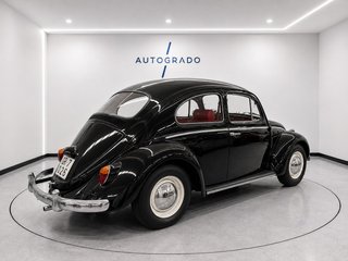 Volkswagen 1100 Beetle