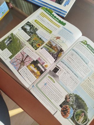 Libro Ciencias Naturales 4° PRIMARIA ANAYA