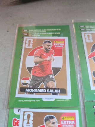 Panini Extra Stickers Bronce