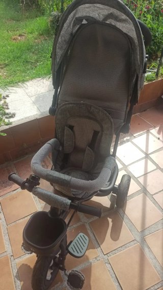 Triciclo de paseo gris