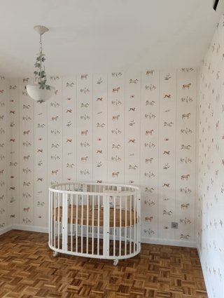 Papel pintado y pinturas