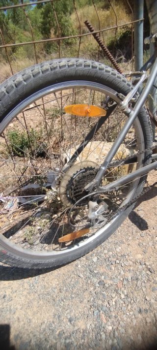 Bicicleta Paseo Specialized Gris