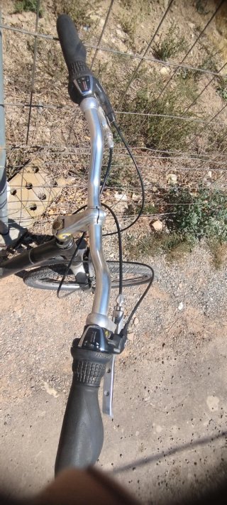 Bicicleta Paseo Specialized Gris