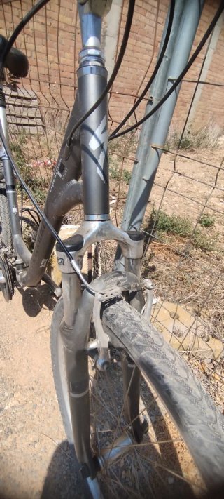 Bicicleta Paseo Specialized Gris
