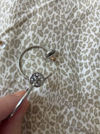 Aros Dyberg/Kern Plata Circonitas