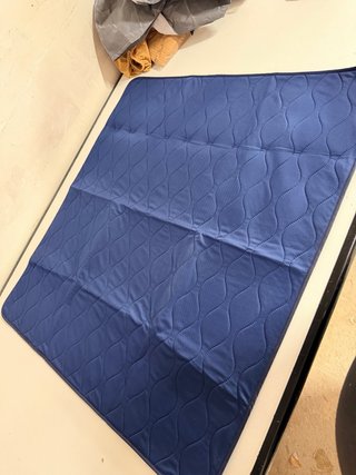 Almohadilla Cama Absorbente Azul