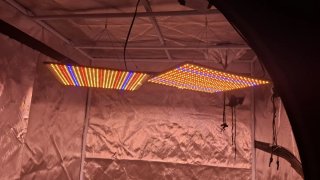 Armario cultivo + luces LED