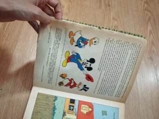 WALT DISNEY N°100