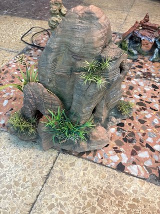TERRARIO -  REPTI -SELVA PARA REPTILES