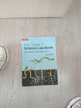 Collins Key Stage 3 Science Lab Book