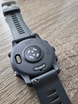 Garmin Forerunner 255 Gris