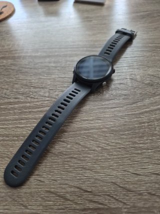 Garmin Forerunner 255 Gris
