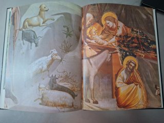 Lote  " Los Genios Universales de la pintura "