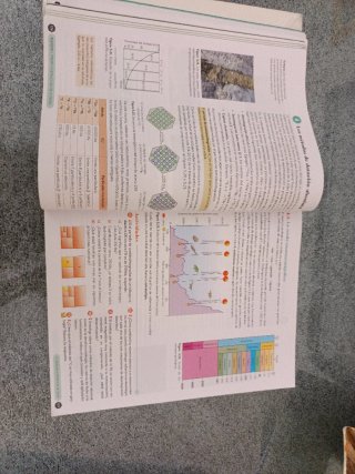 Biología, Geología y CC. Ambientales 1º Bachill...