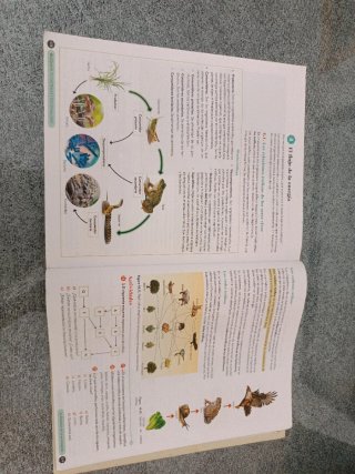 Biología, Geología y CC. Ambientales 1º Bachill...
