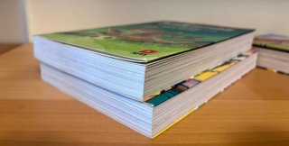 Lote Futbolísimos (17 libros) ¡Como nuevos!