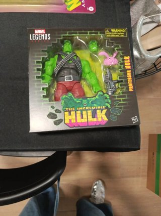 Figura professor hulk
