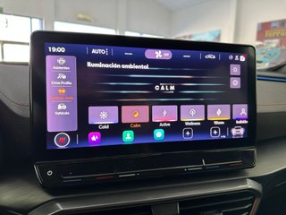 Cupra Formentor 2.0 TSI 228kW (310 CV) VZ 4Drive DSG