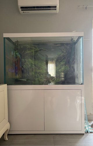 Acuario 500L buen estado