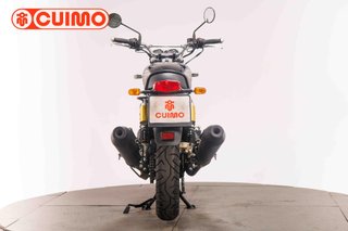 ROYAL ENFIELD INTERCEPTOR INT 650