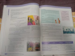 Lengua castellana y literatura 2 Bachillerato
