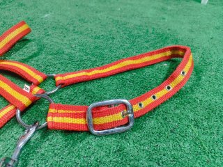 Cabezada de cuadra para pony